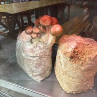 They grow their own mushrooms! at Chuí in Buenos Aires