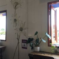 View from my table. Nice hand decorated walls   at Vega in Spring Hill