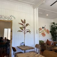 Cute designs  at Vega in Spring Hill