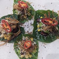  at Vega in Spring Hill