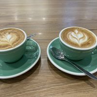   at Vega in Spring Hill