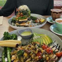 Delicious brunch at Vega in Spring Hill