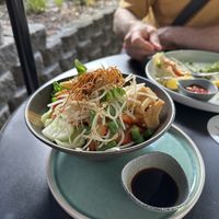   at Vega in Spring Hill