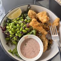 Plant based calamari- best we’ve ever had!  at Vega in Spring Hill