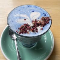 Butterfly pea latte   at Vega in Spring Hill