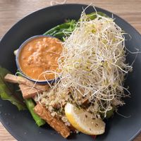 Gunnen   at Vega in Spring Hill