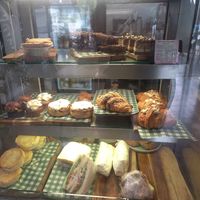  at Vega in Spring Hill