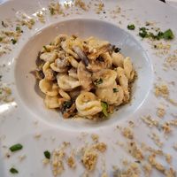 Pasta with mushroom, walnuts and parsley #Veganuary at Pizzeria Boccaccio in Gran Canaria