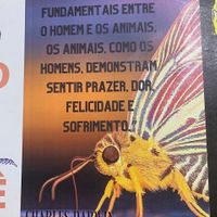   at Morrones in Sao Bernardo Do Campo