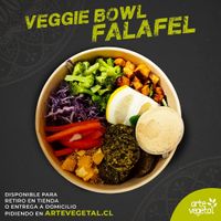  at Arte Vegetal in Santiago