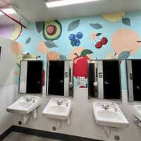 Unisex bathroom handwashing area at Vegas Vegan Eatery in Las Vegas
