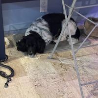 Milko!  at I Quit - Café & Bakery in Mexico City