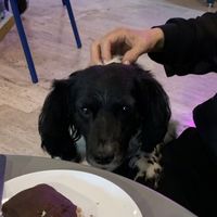 “Yo quiero, yo quiero"  at I Quit - Café & Bakery in Mexico City