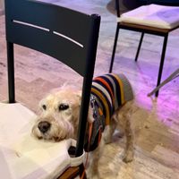  at I Quit - Café & Bakery in Mexico City