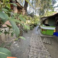 Pathway   at Pallet Cafe in Nairobi