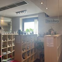 Tea library  at Nine Leaves in Wirral