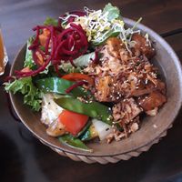 Balance Bowl at Vegan House - Schillerplatz in Dresden