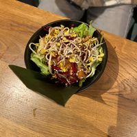 Gyoza  at Vegan House - Schillerplatz in Dresden