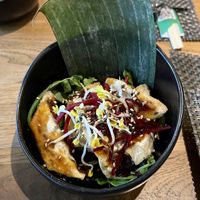   at Vegan House - Schillerplatz in Dresden