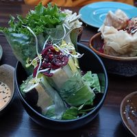  at Vegan House - Schillerplatz in Dresden