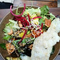  at Vegan House - Schillerplatz in Dresden