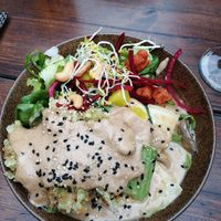  at Vegan House - Schillerplatz in Dresden