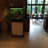  at Vegan House - Schillerplatz in Dresden