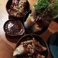 Mini Bowls: Sommerrolle, Gyoza, Tofusticks gebacken at Vegan House - Schillerplatz in Dresden