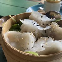   at Vegan House - Schillerplatz in Dresden