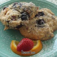 blueberry scones at Deer Run Bed and Breakfast in Big Pine Key
