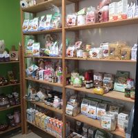 Specialty of vegetable cuisine at Vegustibus in Rome