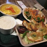 Yellow curry, white rice, pad Thai and dumplings!  at Thai Vegan in Santa Monica