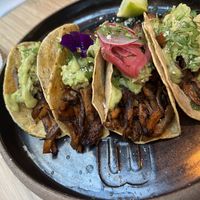 Oyster tacos 6/10  at Madre in Amsterdam