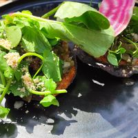 Tostadas at Madre in Amsterdam