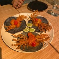   at Madre in Amsterdam