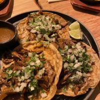 Mushroom tostadas  at Madre in Amsterdam