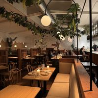   at Madre in Amsterdam