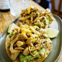 Beech mushroom tostadas at Madre in Amsterdam