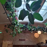  at Madre in Amsterdam