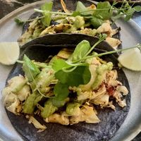   at Madre in Amsterdam