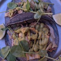  at Madre in Amsterdam