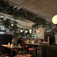   at Madre in Amsterdam