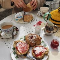  at The Tudor Rose Tearooms & Garden in Plymouth