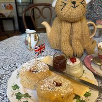   at The Tudor Rose Tearooms & Garden in Plymouth