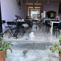 Relaxed, pet friendly, nice inside courtyard #Veganuary at El Eden in Tepic