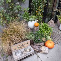  at Kula in Rotterdam