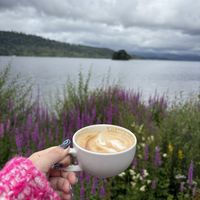 Amazing view!  at Windermere Jetty Cafe in Bowness-on-windermere