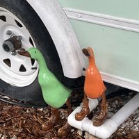   at Seaside Eatery in Key Largo