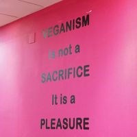 Message on the wall 💞 at Vegan Mount in Barcelona