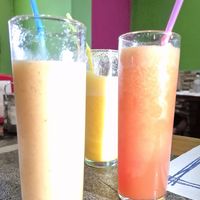  at Vegan Mount in Barcelona